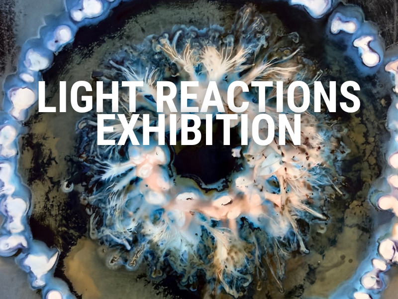 LIGHT REACTIONS: Experiments in cameraless photography