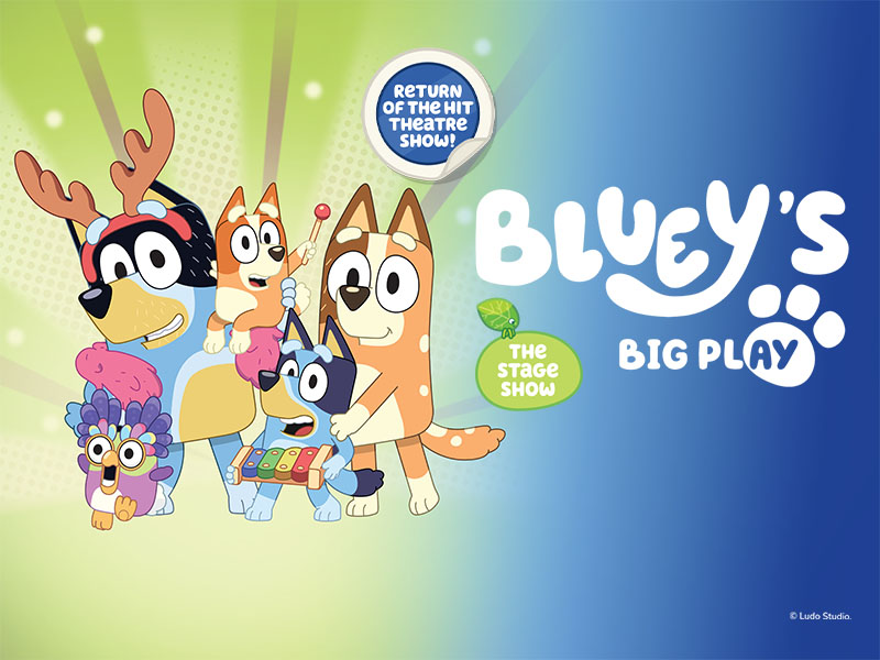 Bluey's Big Play The Stage Show